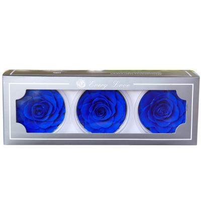 China Various Blue Rose Flowers Artificial Wedding Present Parties 3pcs Valentine's Day DIY Rose 7-8CM Preserved Rose Gift for sale