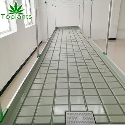 China Movable Indoor Hydroponic Ebb And Flow Rolling Bench Flood And Drain Table for sale