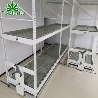 China Mobile Agricultural Multi Level Hydroponics System Rolling Bench Ebb And Flow Vertical Growing Table for sale