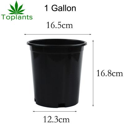 China 1 Gallon Black Flower Pot Cost Effective Durable Hard Plastic Plant Pots PP Large Nursery Pots for sale