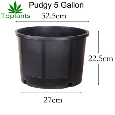 China Cost effective 5 gallon good quality pp plastic plump pot in low price for growing herbs for sale