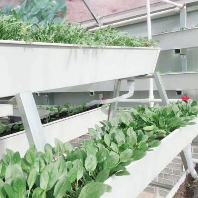 China Stable structure soilless cultivation and PVCgutter planting substrate system for sale