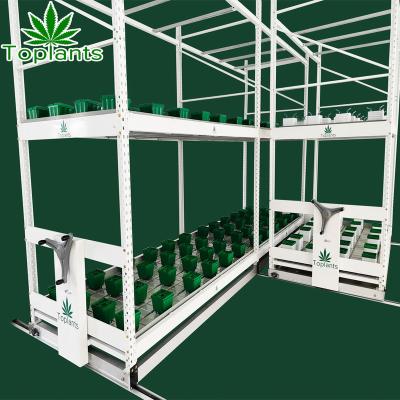 China Indoor Irrigation Mobile Hydroponics Equipment Grow Rack Vertical Growing Racks for sale