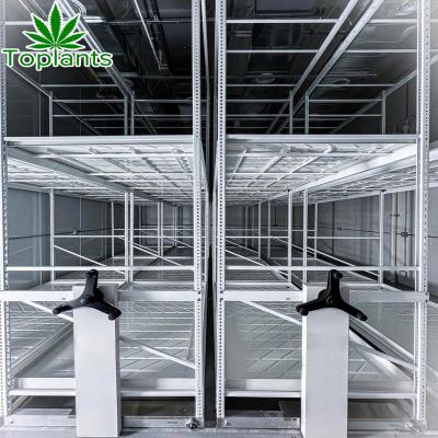 China Hydroponics Mobile Vertical Lettuce Indoor Mobile Grow Rack for sale