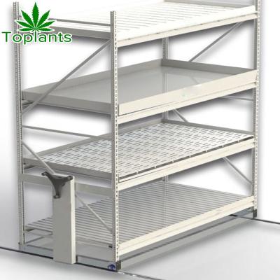 China Mobile Indoor Agricultural Double Tier Growing Tables For Commerical Plants for sale