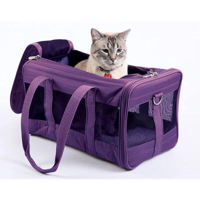 China Large Breathable Comfortable Car Mesh Surface Pet Outing Outside Travel Purple Play Carrier Bag for sale