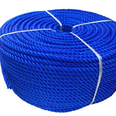 China High tensile /durable high quality polyethylene (PE) twisted plastic rope rope for marine use packing pe rope for sale