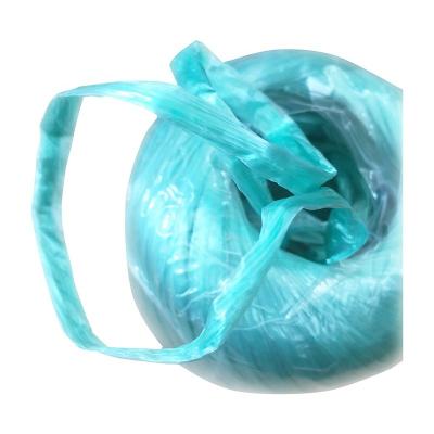 China Factory Price 1mm 2mm Mix Color PP Rope Polypropylene High Strength White Blue Green 3mm Baler Twine For Agriculture for sale