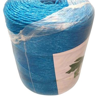 China Factory price 2mm blue color 3mm high strength pp rope high tensile polypropylene baler twine for agriculture for sale