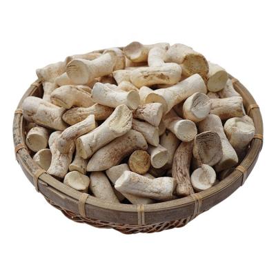 China Hot Selling Dried Shiitake Mushroom Stem Mushroom Foot Mushroom Root for sale