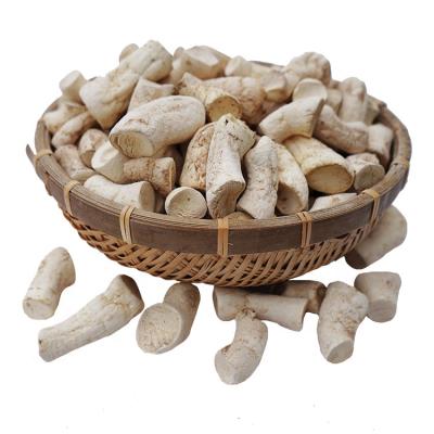 China High Quality Dry Shiitake Mushroom Foot Dried Shiitake Mushroom Stem Brown Shiitake Mushroom Legs for sale