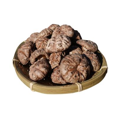 China Wholesale dry tea flower mushroom top level price by lentinus edodes good for sale