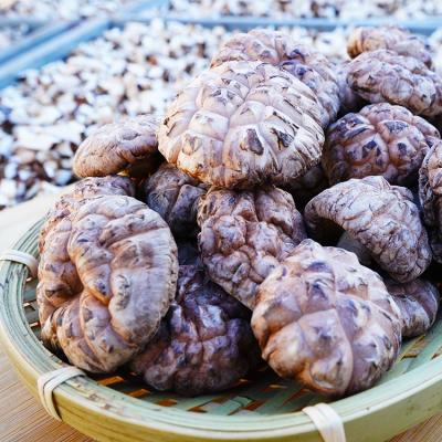 China Manufacturer Expoty Best Price Dry Shiitake Dried Tea Flower Mushroom for sale