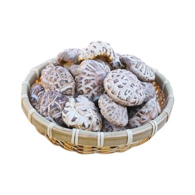 China Dry Mushroom Shiitake Mushroom Flower Dry Mushroom for sale