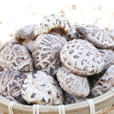 China Dried Shiitake Mushroom Dried Shiitake Mushroom Dried Yellow Shiitake Mushroom for sale