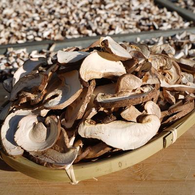 China Dried sliced ​​dehydrated mushrooms dried sliced ​​mushroom dried shiitake mushroom slices for sale