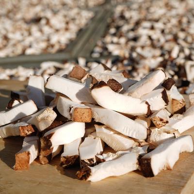 China Brown Dry High Quality Delicious Healthy Fresh Shiitake Mushroom For Sale for sale