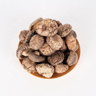 China Export Dried Bulk Organic Dried Shiitake Mushroom With Brown Color for sale