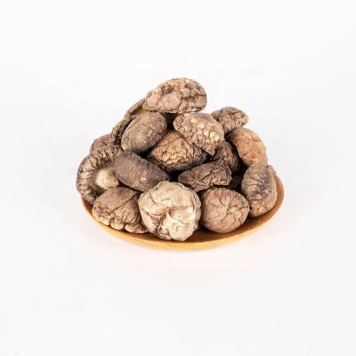 China Dry Wholesale Factory Sell Healthy Organic Bulk Dried Shiitake Mushrooms for sale