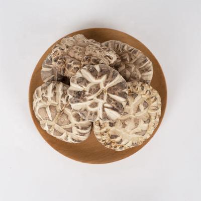 China The Hot Selling Dry Mushroom Hot Dry Shiitake Flower Log Hot Sale The Mushroom for sale