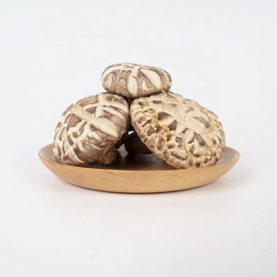 China Dried Flower Shiitake Mushroom Wholesale Price Dried White Flower Shiitake Mushroom High Quality for sale