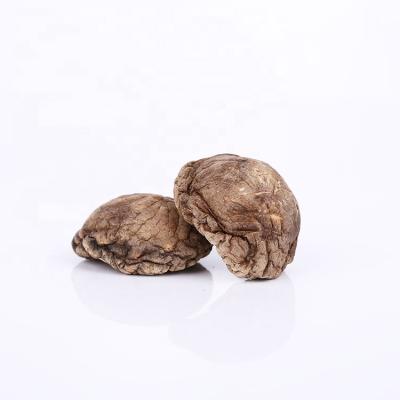 China Dried Shiitake Mushroom Dried Shiitake Mushroom Sale China Dried Shiitake Mushroom for sale