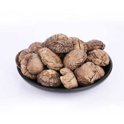 China High Quality Dried Shiitake Mushroom Dried Shiitake Mushroom Dried Shiitake Mushroom Dried for sale