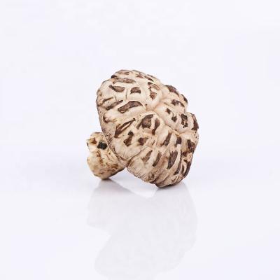 China 4-6cm dry organic fresh mushroom dried shiitake mushroom for sale for sale