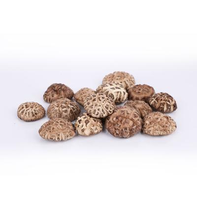 China 250g Qinling Specialty Dry Mountain Dried Food Mushroom Flower Mushroom Porcelain Edible Shiitake Mushroom for sale