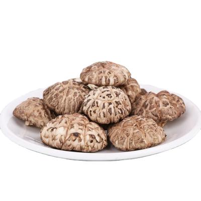 China White Flower Hot Selling Dry Shiitake Shiitake Dried Mushroom for sale