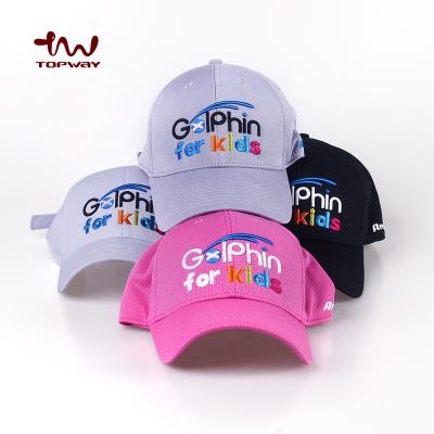 China DRI JOINT Custom Embroidery Fitted 6 Panel Kids Baseball Cap Hats for sale