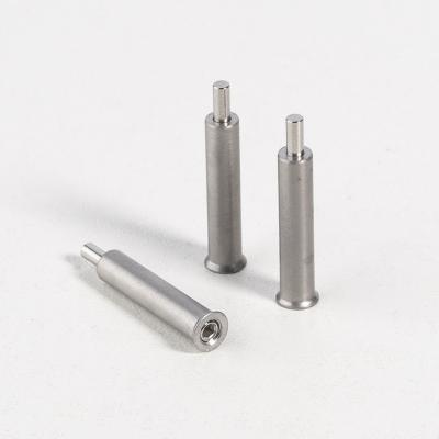 China Factory Customized High Quality Stainless Steel/Spring Steel Pin Plunger Smooth Body Push Fitted PIN Plunger for sale