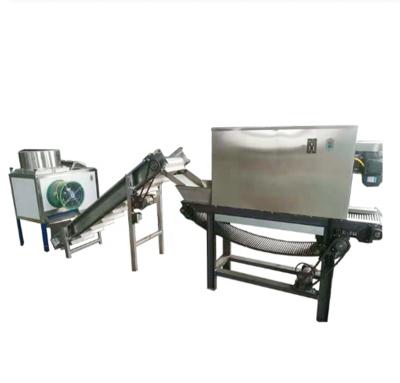 China Snack factory stainless steel garlic peeling machine garlic peeling equipment garlic peeling machine price for sale