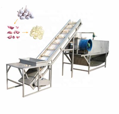 China Snack factory stainless steel garlic peeling machine garlic peeling equipment garlic peeling machine price for sale