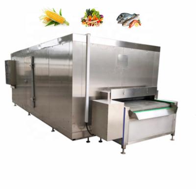 China food & Beverage Factory Vegetables Fruits Tunnel Fluidized Flash Freezer for sale