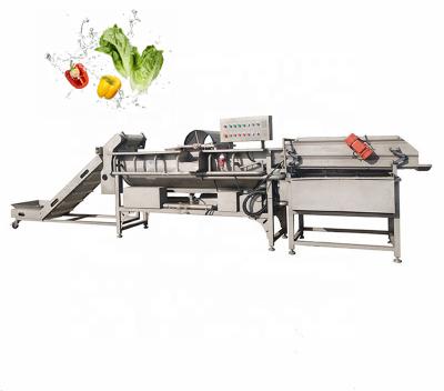 China Mini Vegetable Fruit and Vegetable Cleaning Machine High Quality Bubble Cleaning Machine Fruit Processing Plant Washing Machine Vegetable Washing Machi for sale