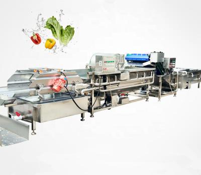 China Fruit processing plant vegetable washing machine brush washing machine industrial fruit and vegetable spraying fruit and vegetable for sale