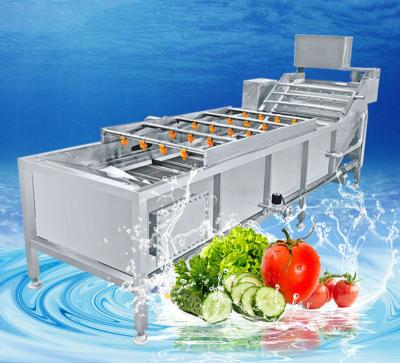 China Fruit processing plant small vegetable washing machine fruits and vegetables washing and drying machine small vegetable washing machine for sale