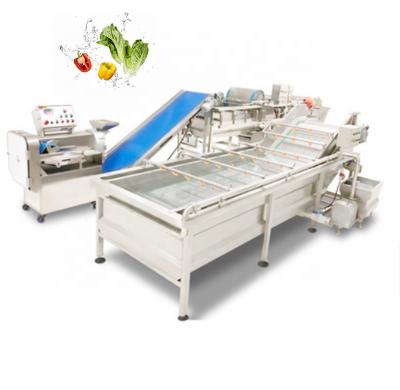 China Fruit processing plant washing machine vegetable washing machine industrial washing vegetables for sale