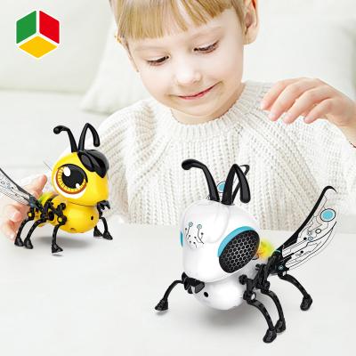 China QS Wholesale DIY Kids Assembly Educational Insect Cricket Toys Activity Magic Elves Hand Control Robot With Colorful Lights 11.8*12.7*11.8cm for sale