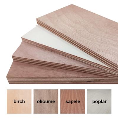 China Guangxi modern 18mm to 9mm birch face plywood for furniture production smooth surface excellent polishing for sale