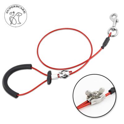 China Best Outdoor Dog Run Steel Cable Dog Gift, Great Padded for Training, Playing, Camping, or Backyar for sale