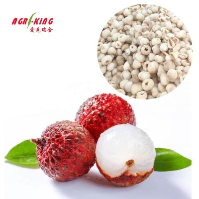 China IQF FROZEN Lychee Fruit for sale