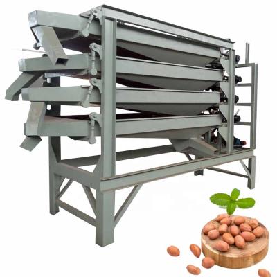 China Automatic Easy Operation Almond Hazelnut Peanut Grader Newest High Efficiency Easy Operation Design For Sale for sale