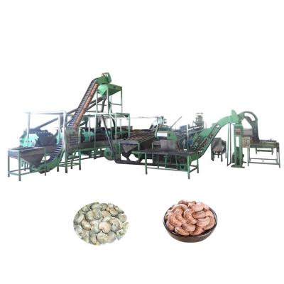 China High efficiency Lehao ​​full automatic cashew nut processing machine for cashew nut processing plant for sale