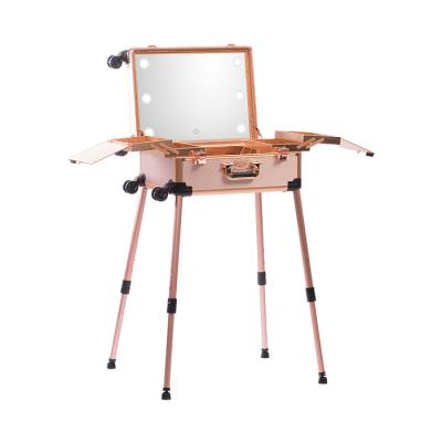 China Large Capacity Hollywood Vanity LED Mirror Makeup Case Rose Gold for sale