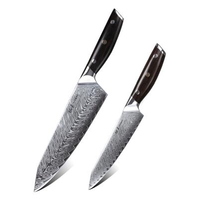 China 2 Piece Professional Viable Damascus Steel Kitchen Knife Set With Ebony Handle for sale