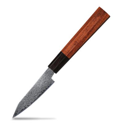 China Sustainable High Carbon Damascus Fruit Paring Knife With Rosewood Handle for sale