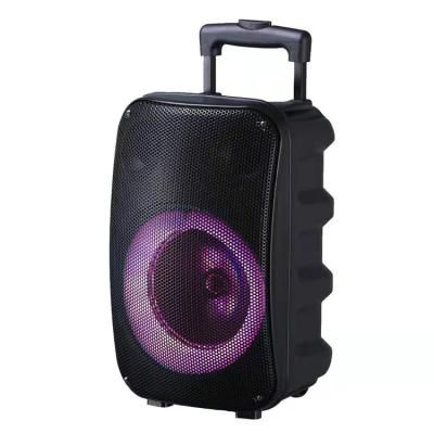 China Large Wireless Outdoor Speakers Portable 8 Inch BT Speaker LED Lantern Outdoor Speakers with Card USB Drive Instant Karaoke Portable Audio for sale