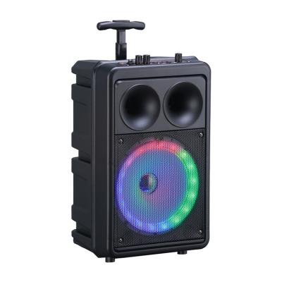 China 2021 New Factory OEM Wireless Audio Portable Mobile Blue Tooth Trolley Colorful Lights Speaker With Microphone for sale